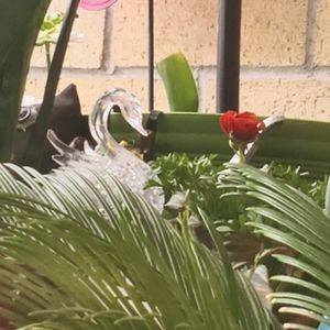 Meet your Posher, A z